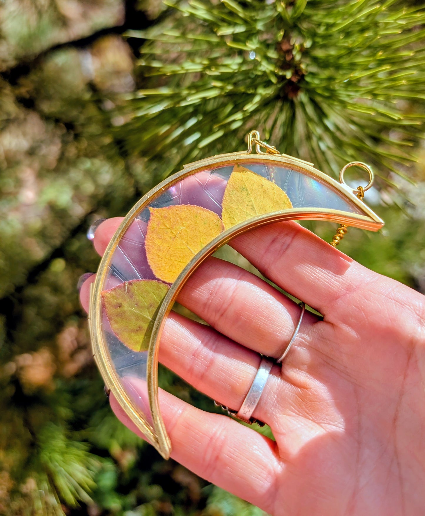Aspen Leaf Ornaments