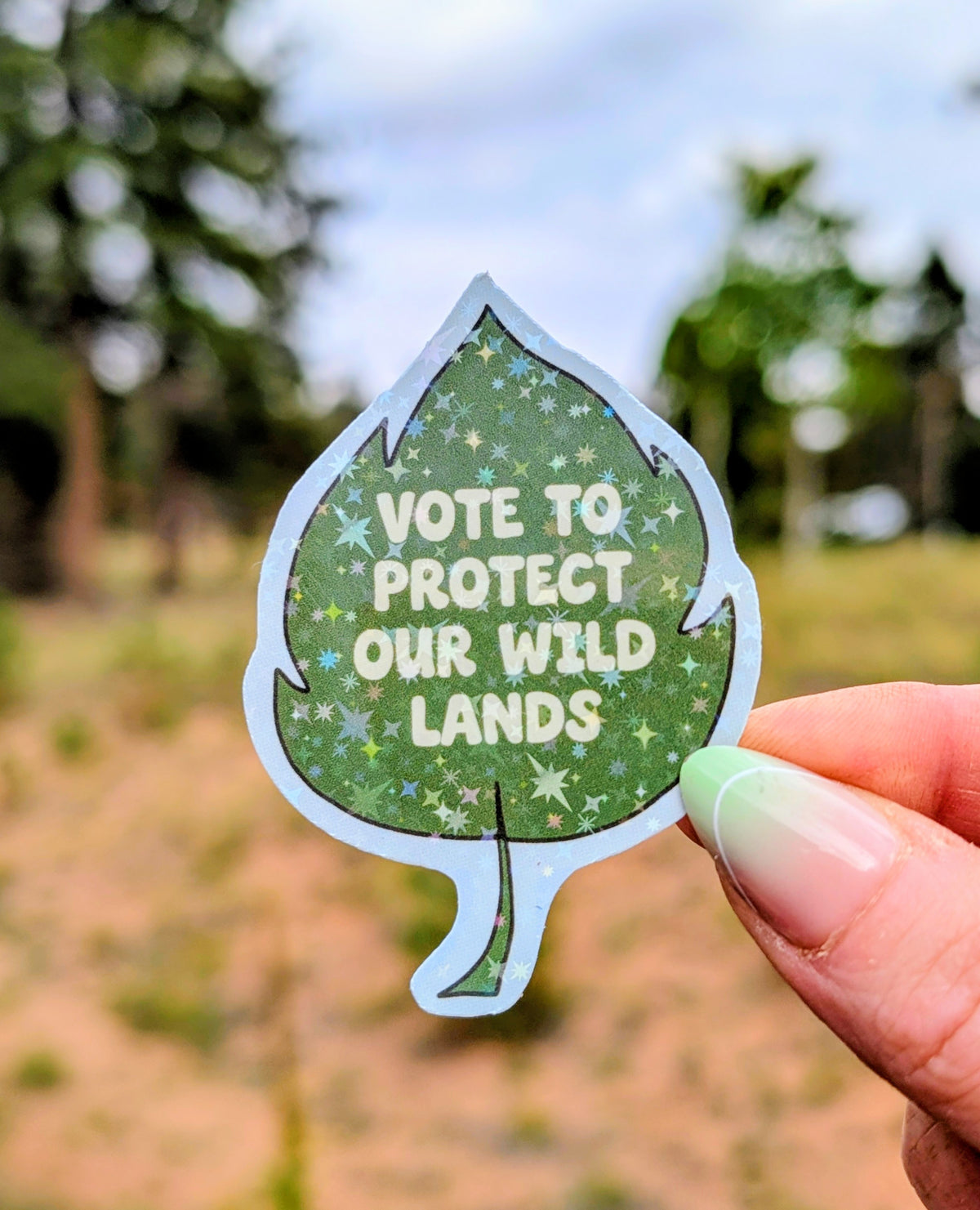 Support Wildland Firefighters, Climate Change, Protect Our Public Lands Glitter Vinyl Sticker