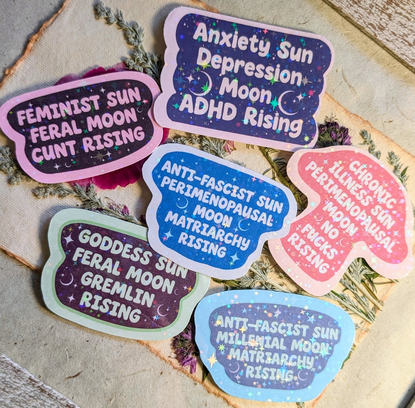 Feral Feminist Inspirational Feminist Vinyl Sticker