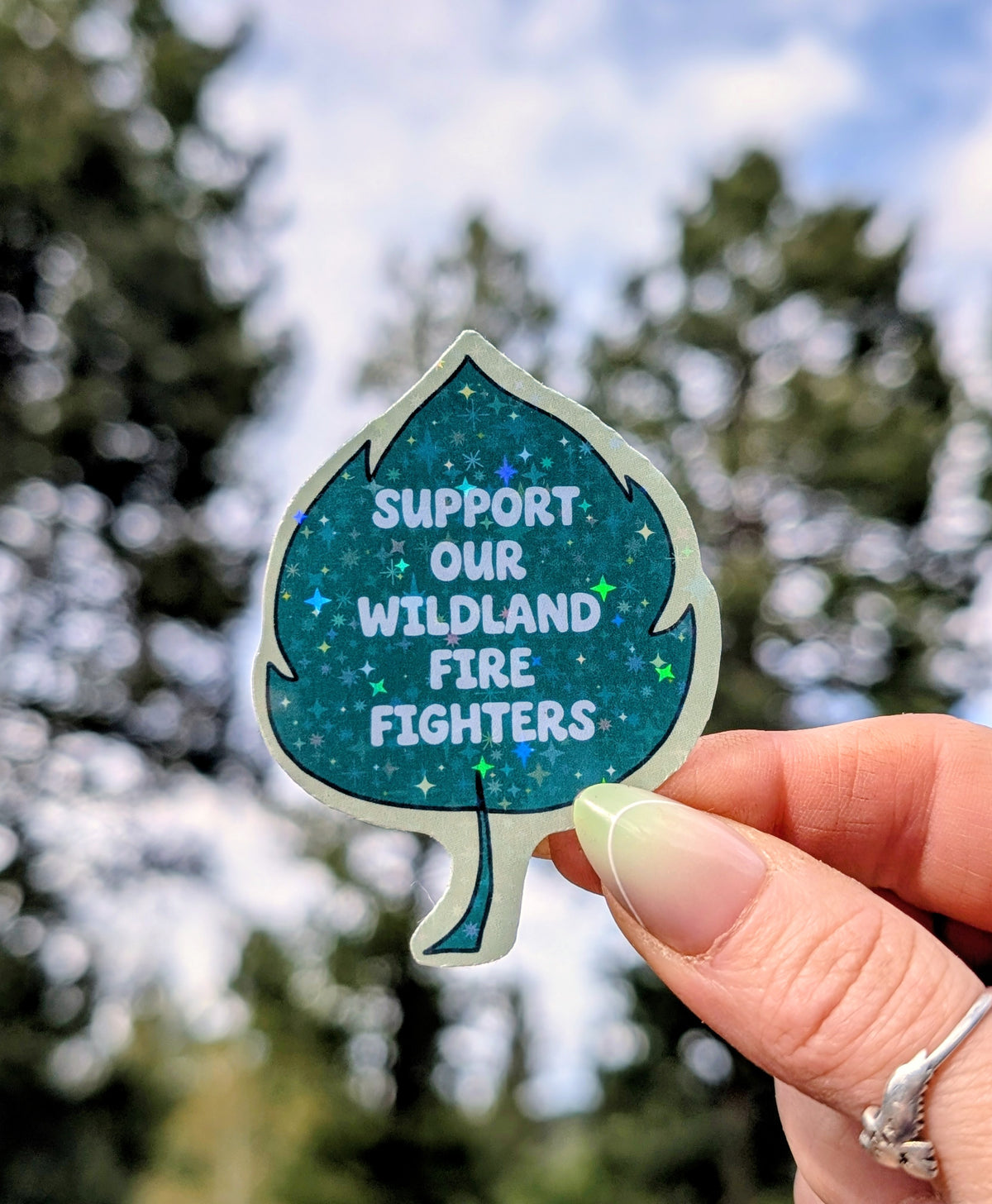 Support Wildland Firefighters, Climate Change, Protect Our Public Lands Glitter Vinyl Sticker
