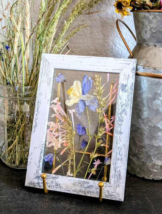 Colorado Columbine Wildflower Window