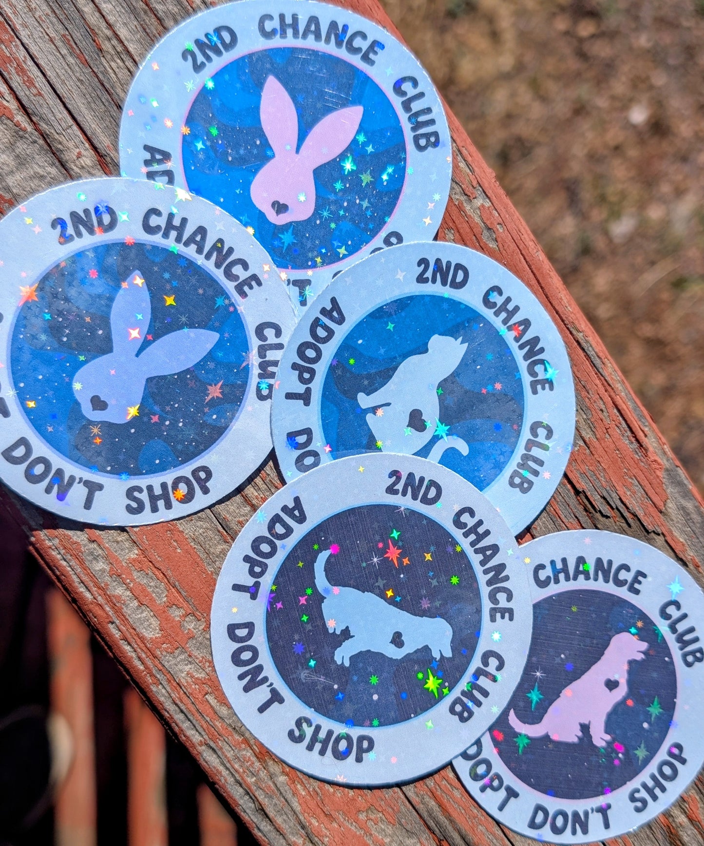 Holographic Vinyl Sticker, Adopt Don't Shop, Foster Animal Fundraiser, All Proceeds Go To Vet Care