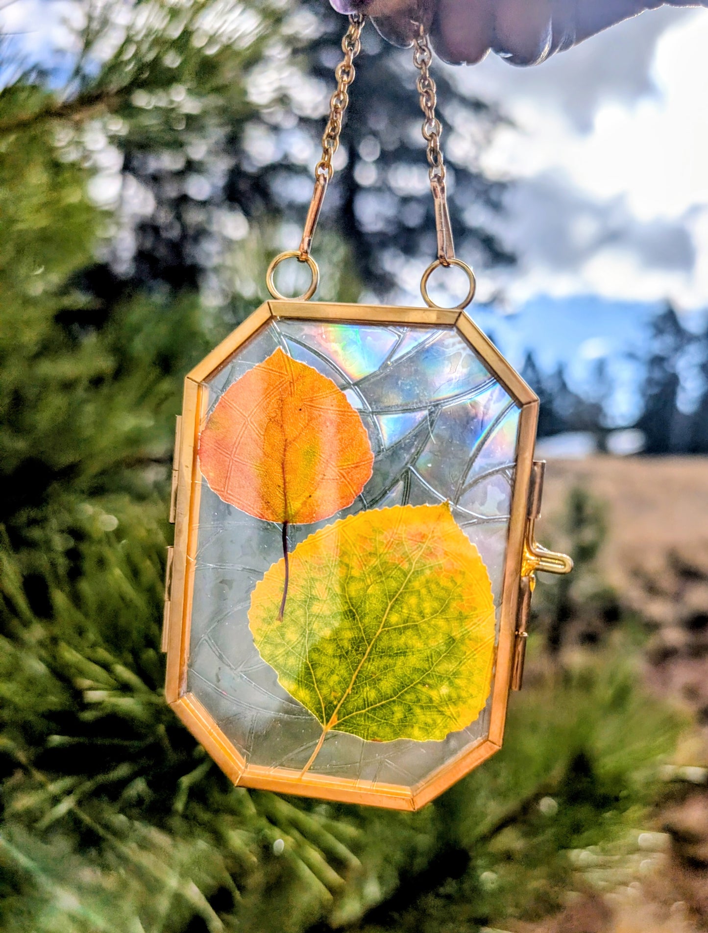 Aspen Leaf Ornaments