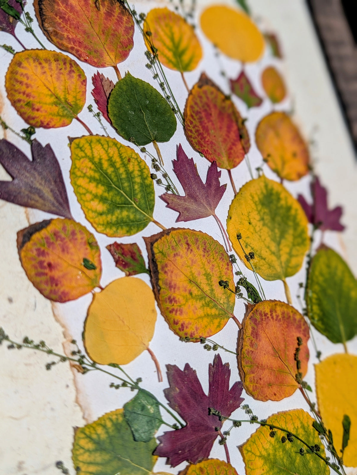 Colorado Wildflower Window Aspen Statement Piece