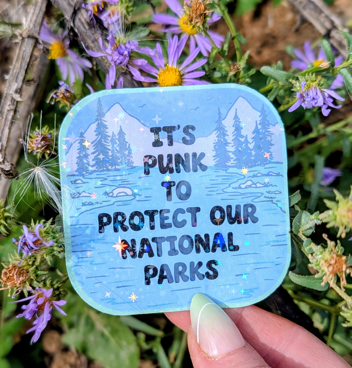 Support Wildland Firefighters, Climate Change, Protect Our Public Lands Glitter Vinyl Sticker, Public Lands
