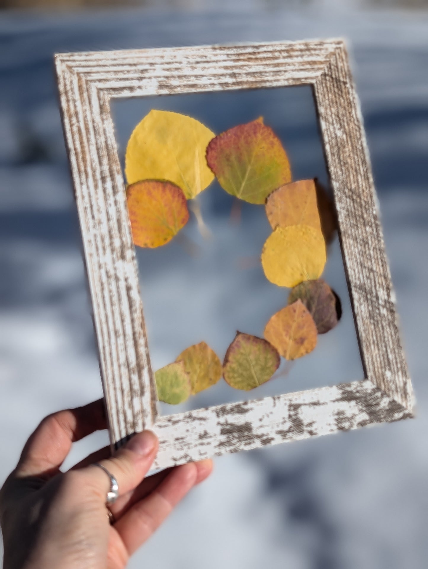 Autumn Aspen Wildflower Window