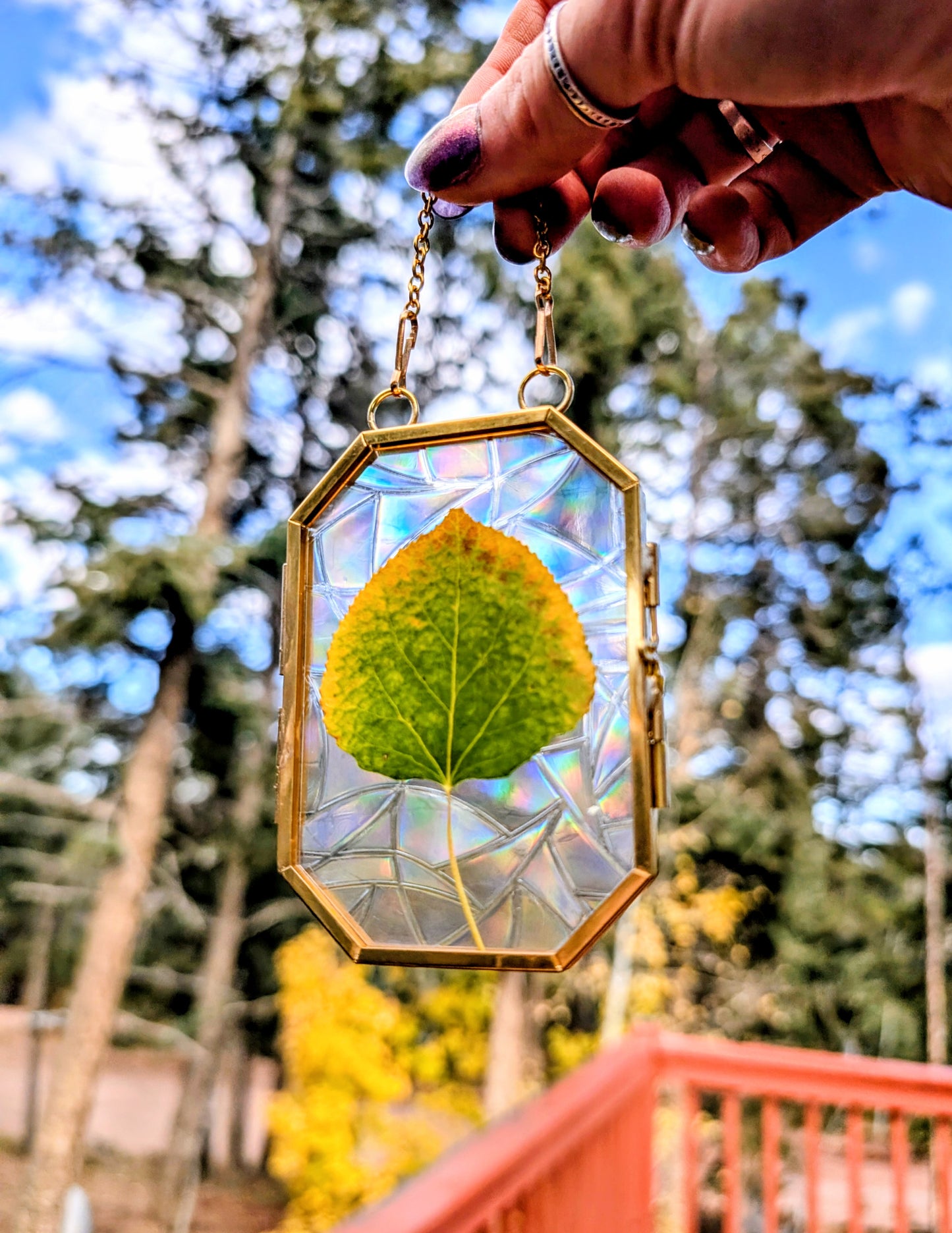 Aspen Leaf Ornaments