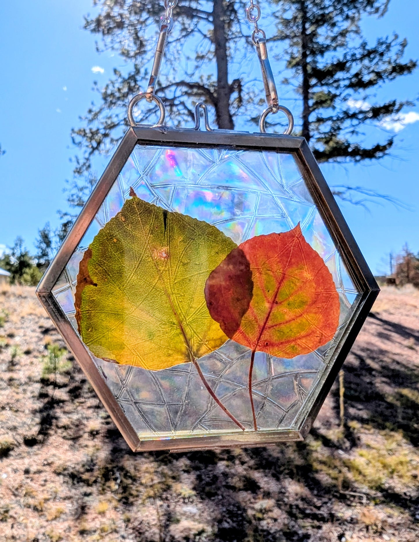 Aspen Leaf Ornaments
