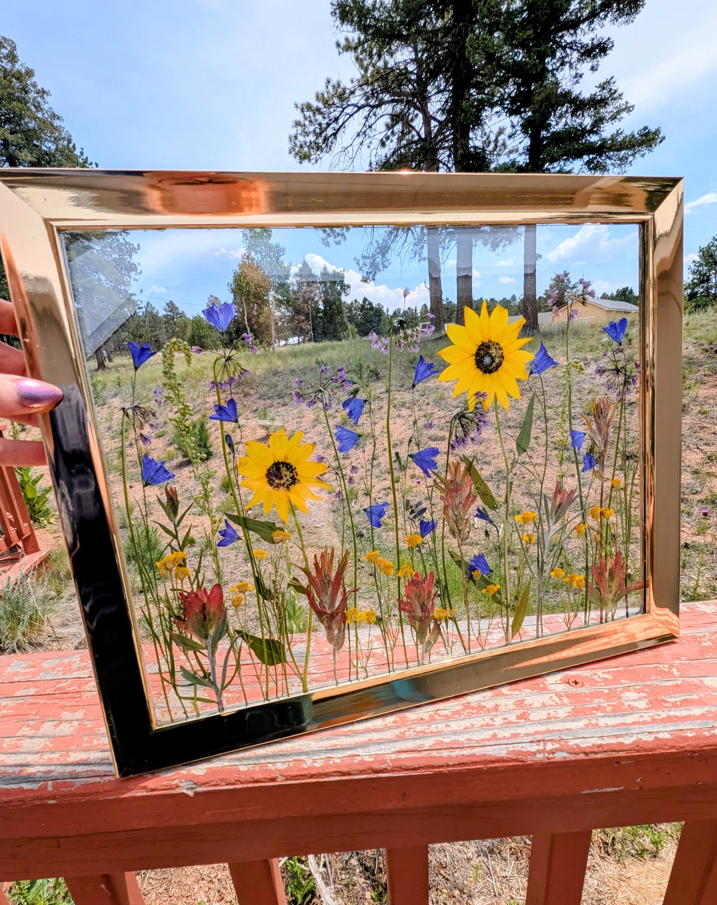 Custom Colorado Wildflower Window Statement Piece