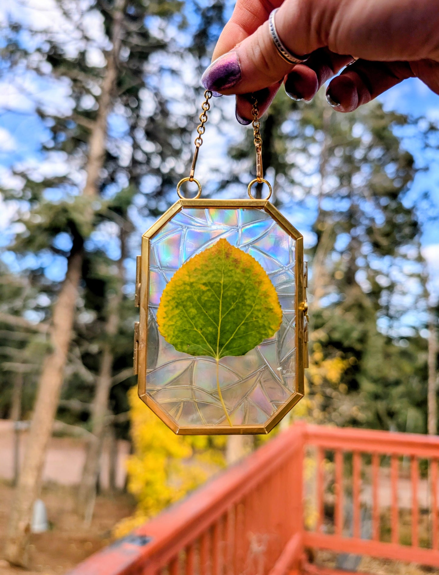 Aspen Leaf Ornaments