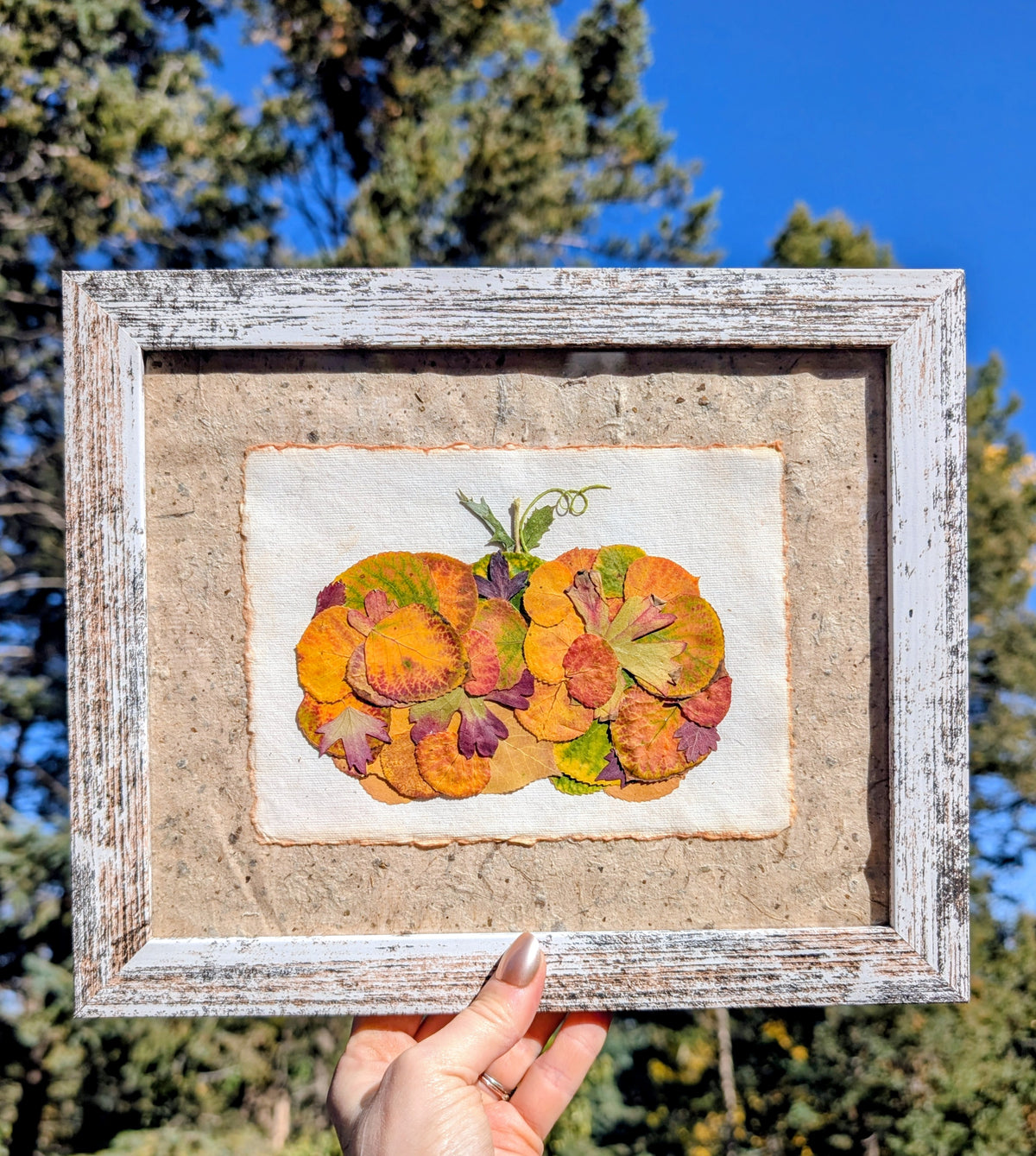 Colorado Wildflower Window Autumn Pumpkin Aspen Statement Piece