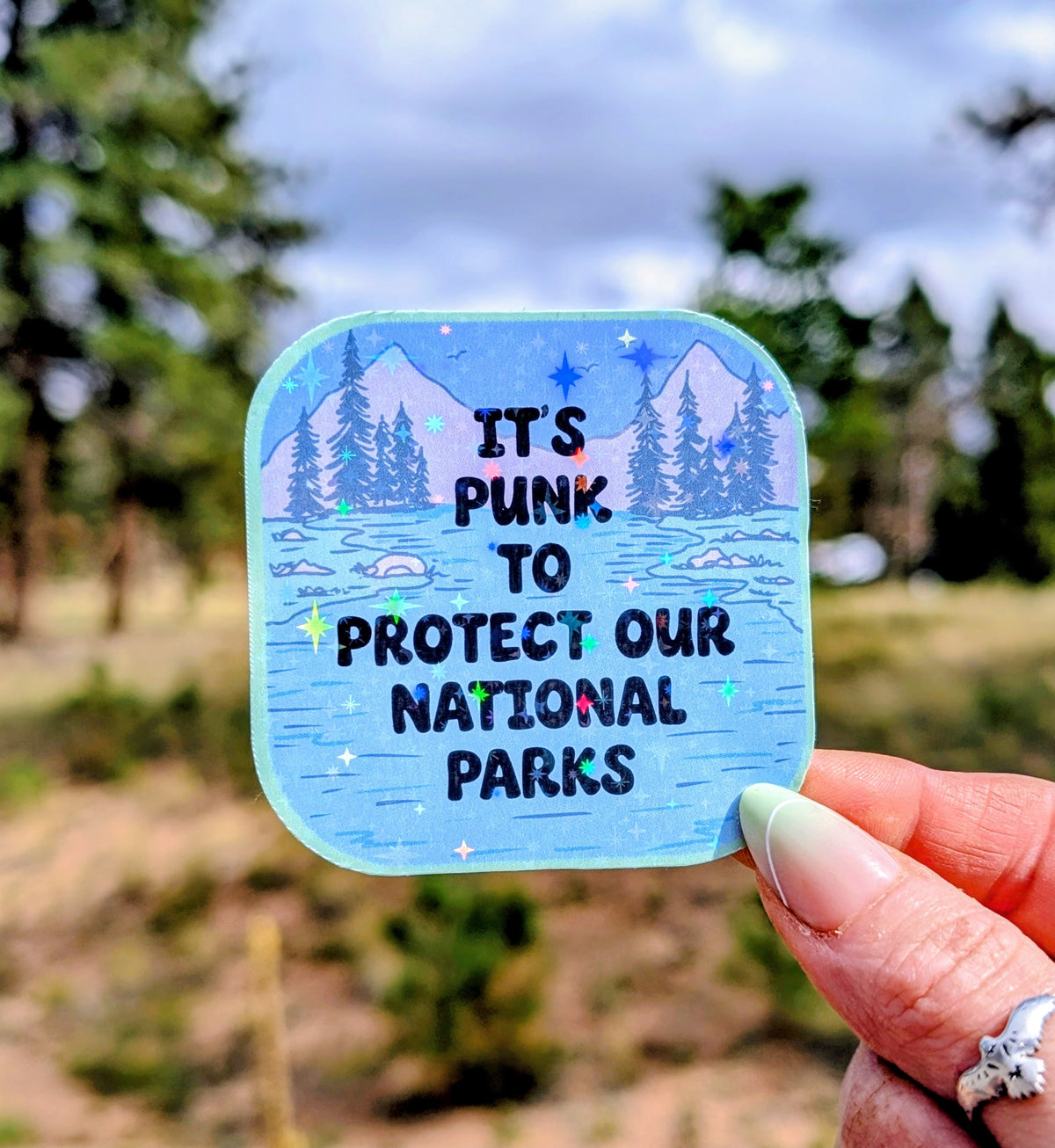 Support Wildland Firefighters, Climate Change, Protect Our Public Lands Glitter Vinyl Sticker, Public Lands