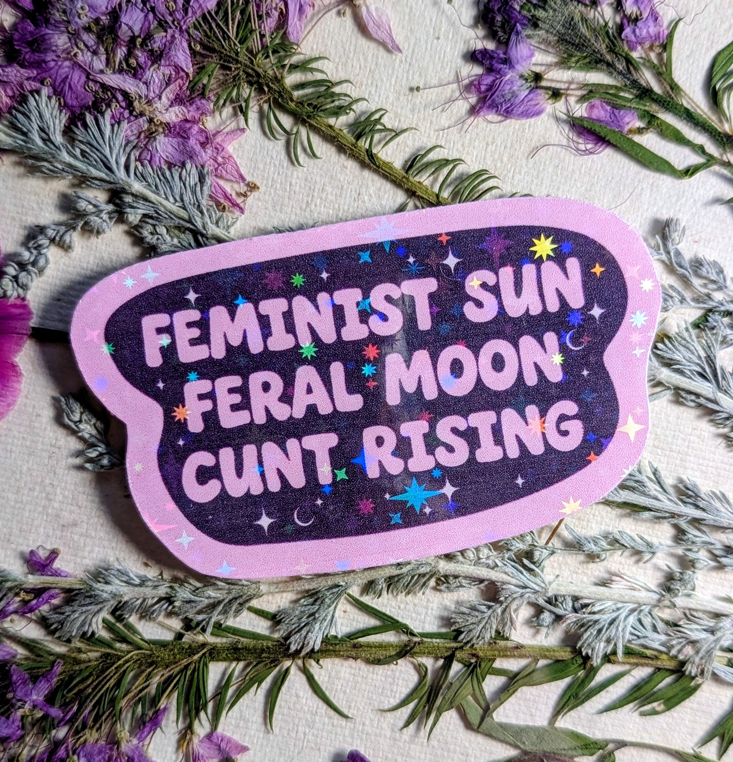 Feral Feminist Inspirational Feminist Vinyl Sticker