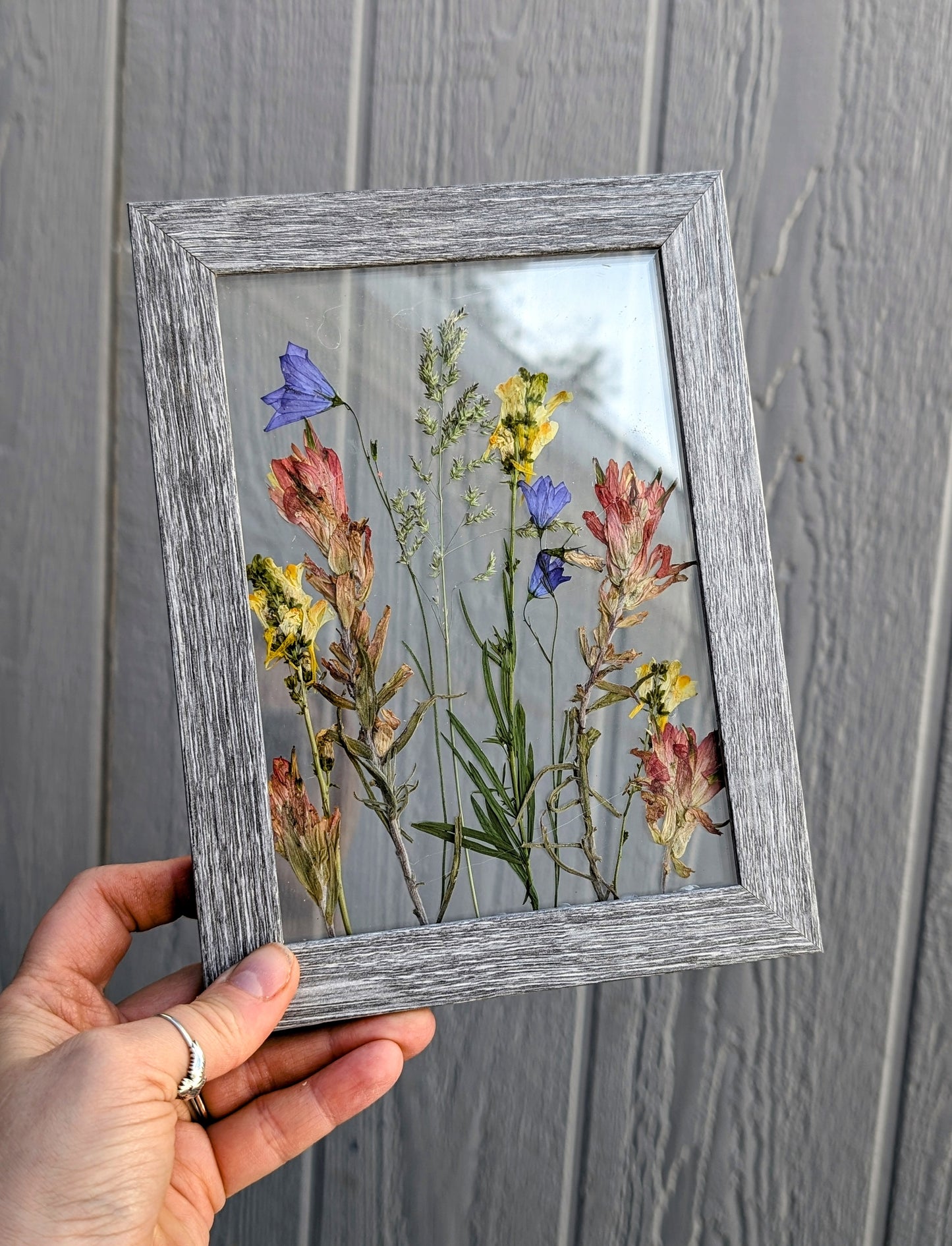 Colorful Mix Wildflower Window