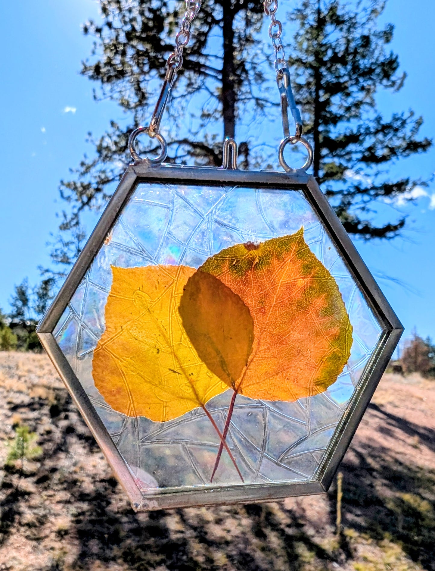 Aspen Leaf Ornaments