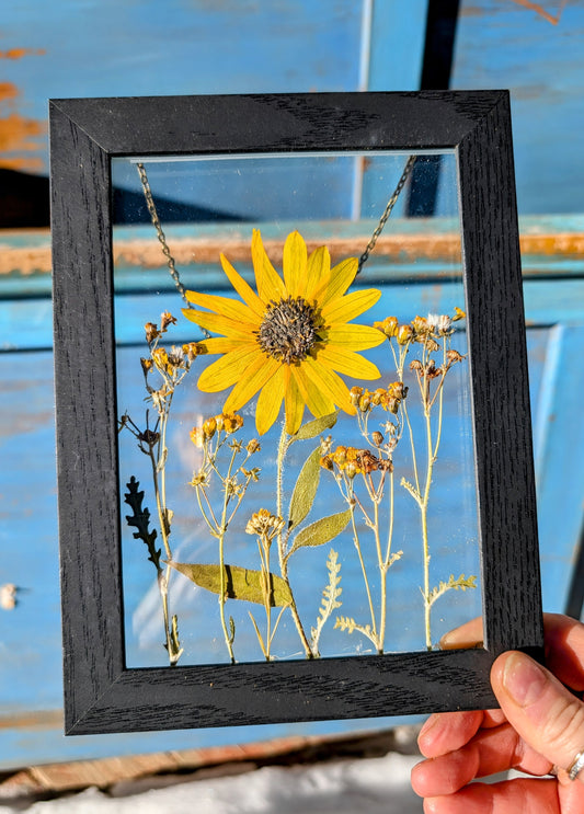 Sunflower Mix Wildflower Window