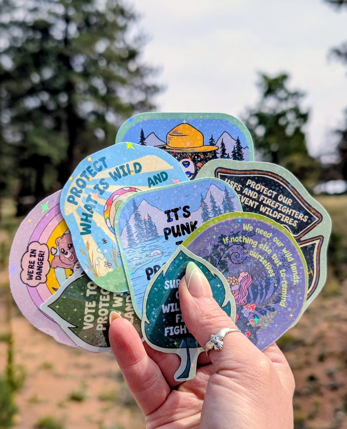 Support Wildland Firefighters, Climate Change, Protect Our Public Lands Glitter Vinyl Sticker, Wild Things