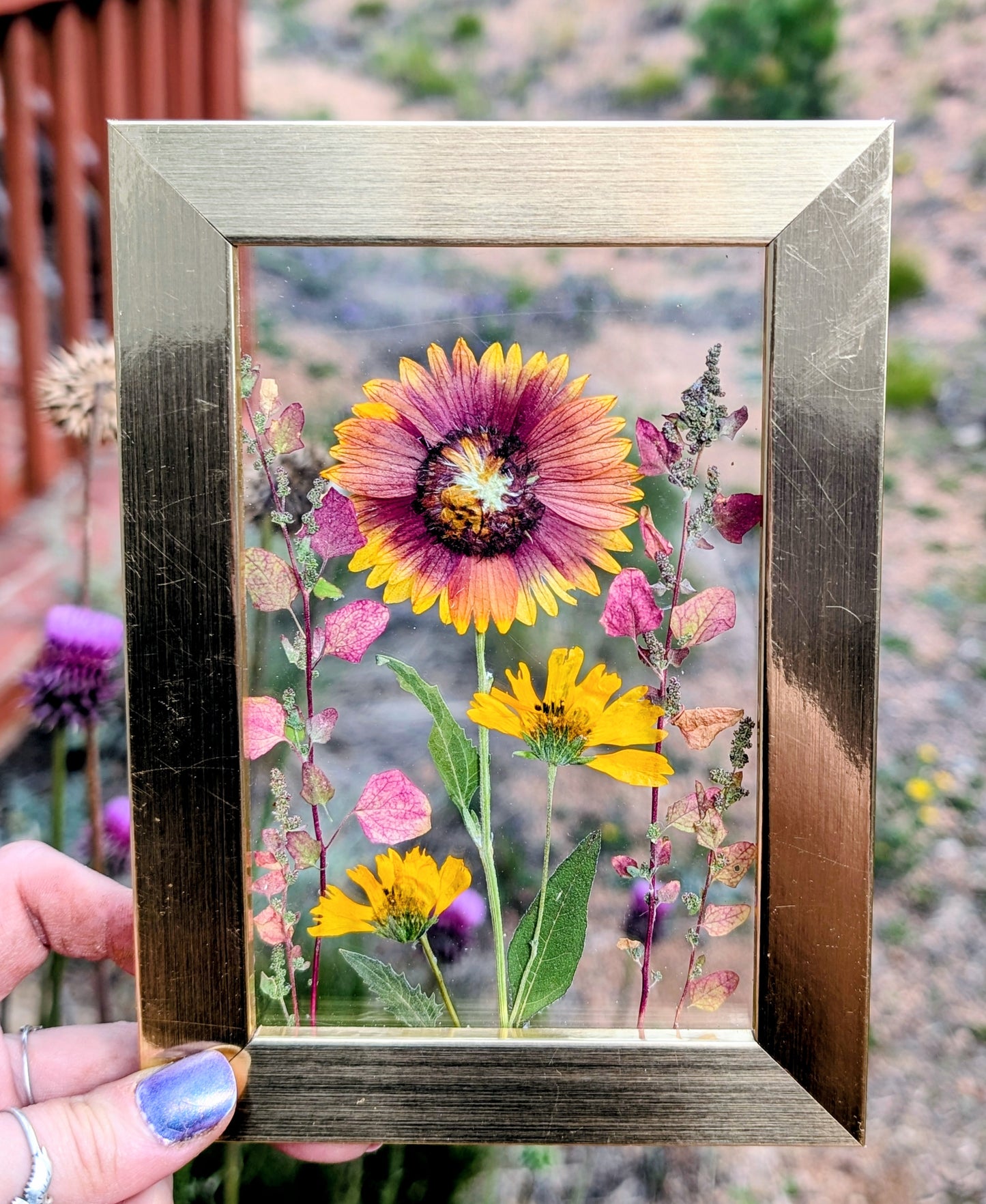Custom Colorado Wildflower Window Statement Piece