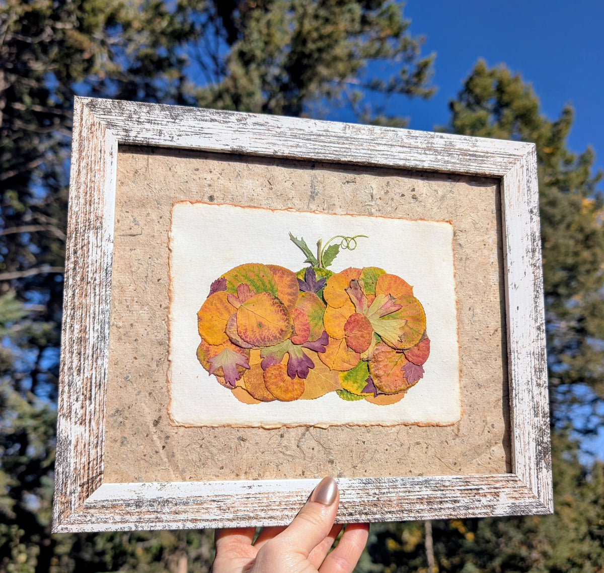 Colorado Wildflower Window Autumn Pumpkin Aspen Statement Piece