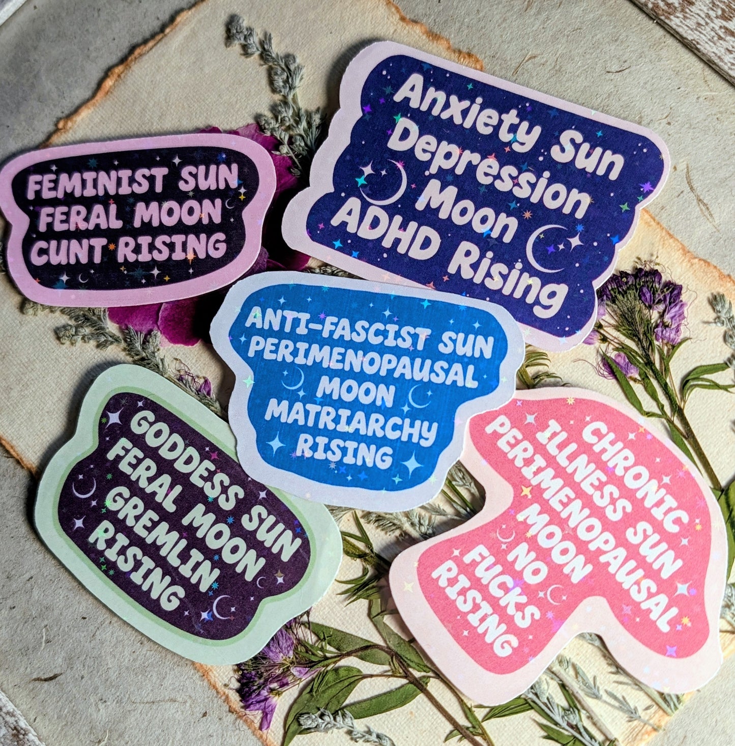 Feral Feminist Inspirational Feminist Vinyl Sticker