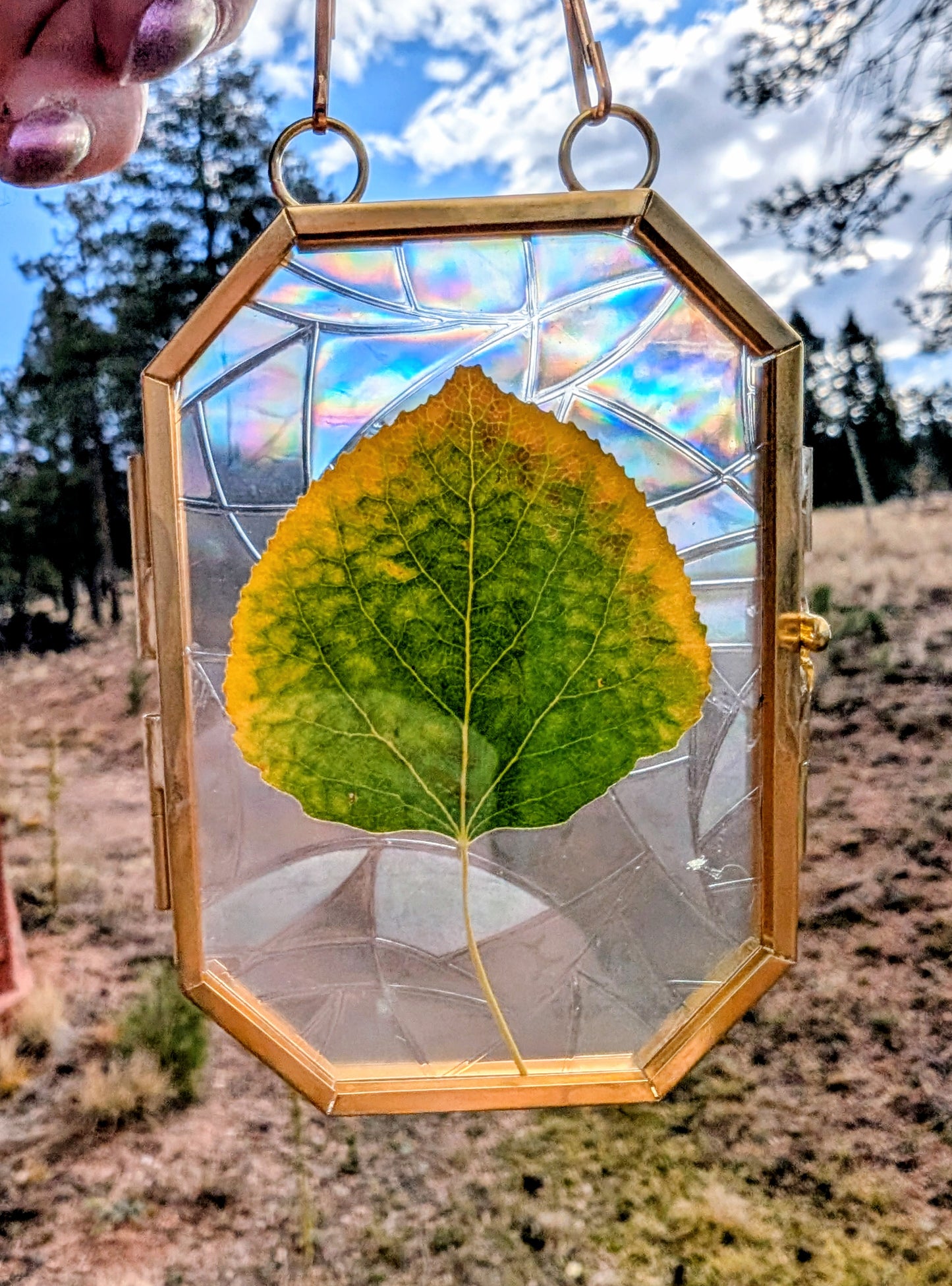 Aspen Leaf Ornaments