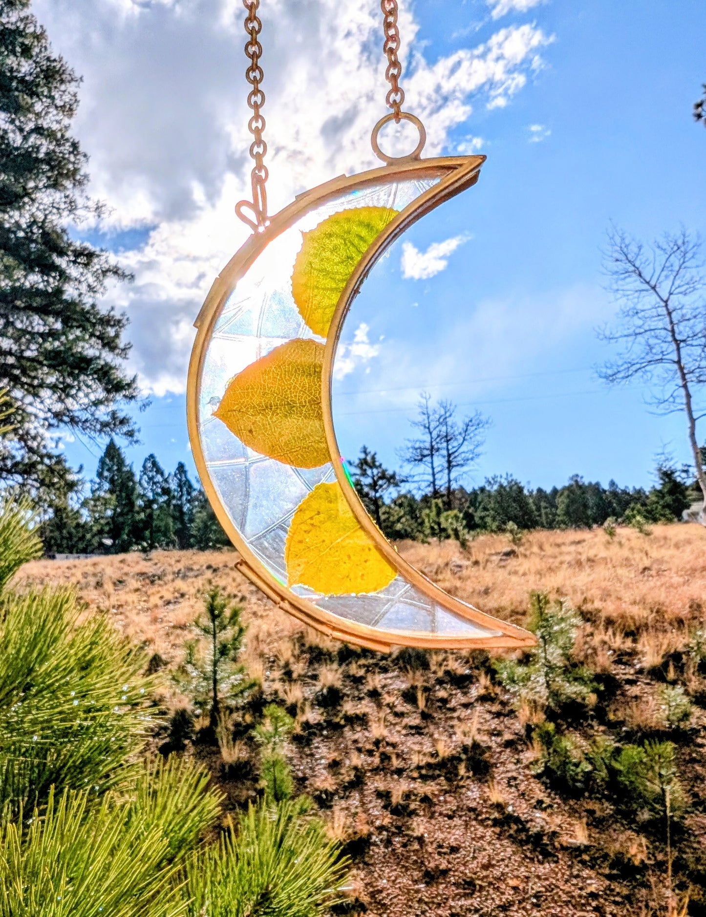 Aspen Leaf Ornaments