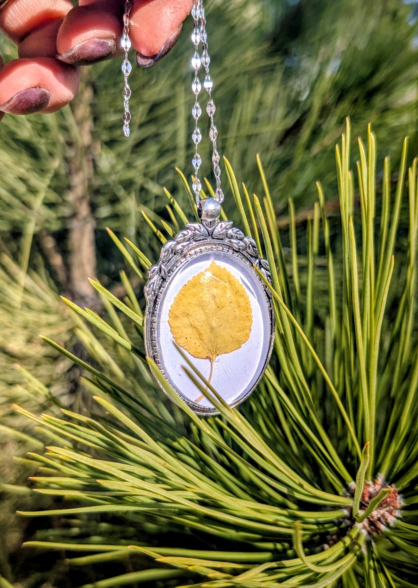 Aspen Leaf Ornaments