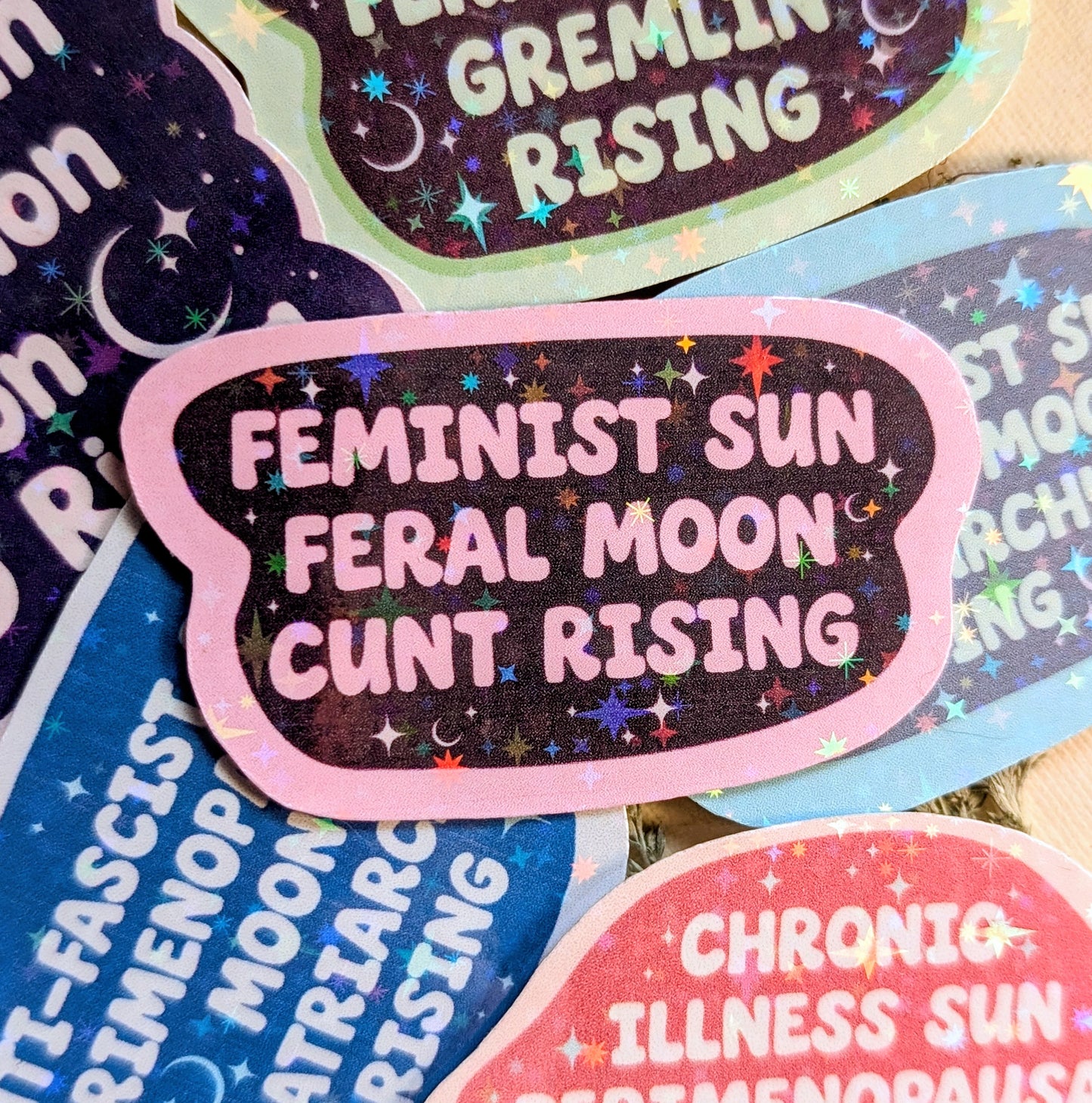 Feral Feminist Inspirational Feminist Vinyl Sticker