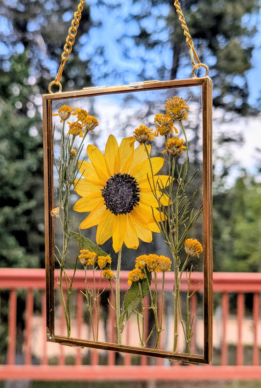 Wild Sunflower 4x6" Wildflower Window