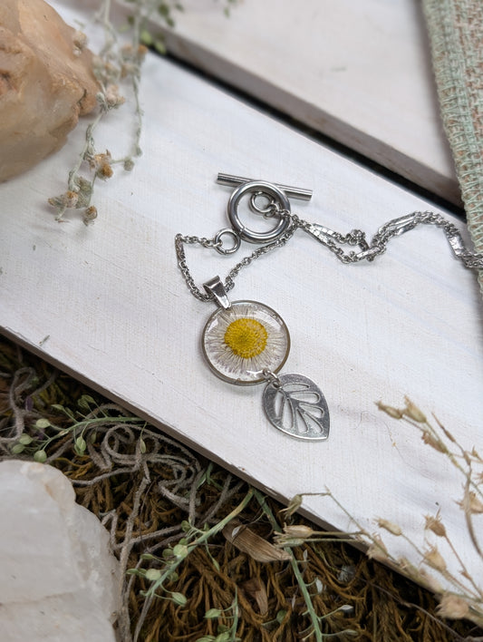 Alpine Daisy Colorado Wildflower Necklace, Pressed Flower Necklace