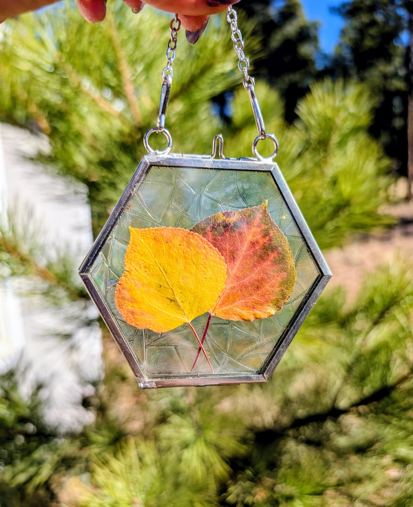 Aspen Leaf Ornaments