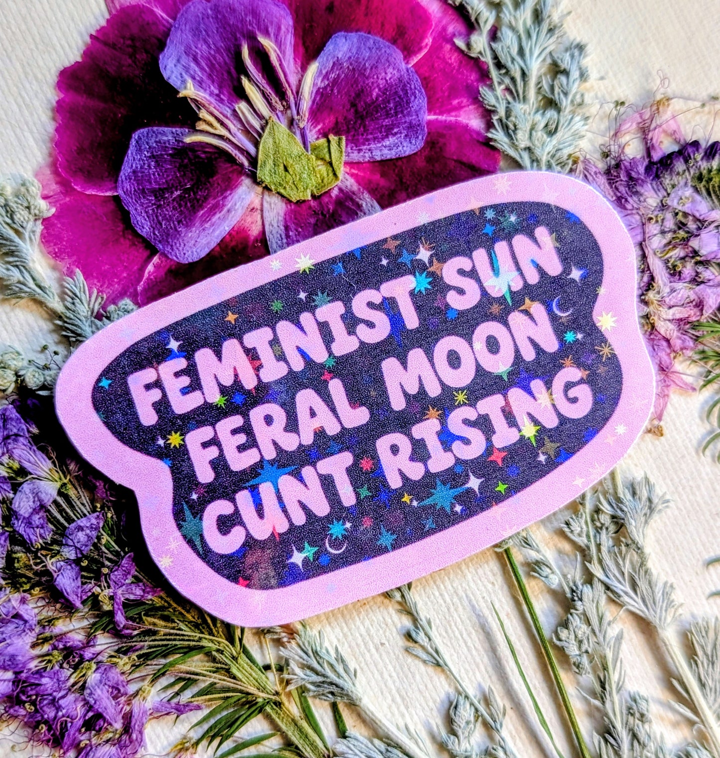 Feral Feminist Inspirational Feminist Vinyl Sticker