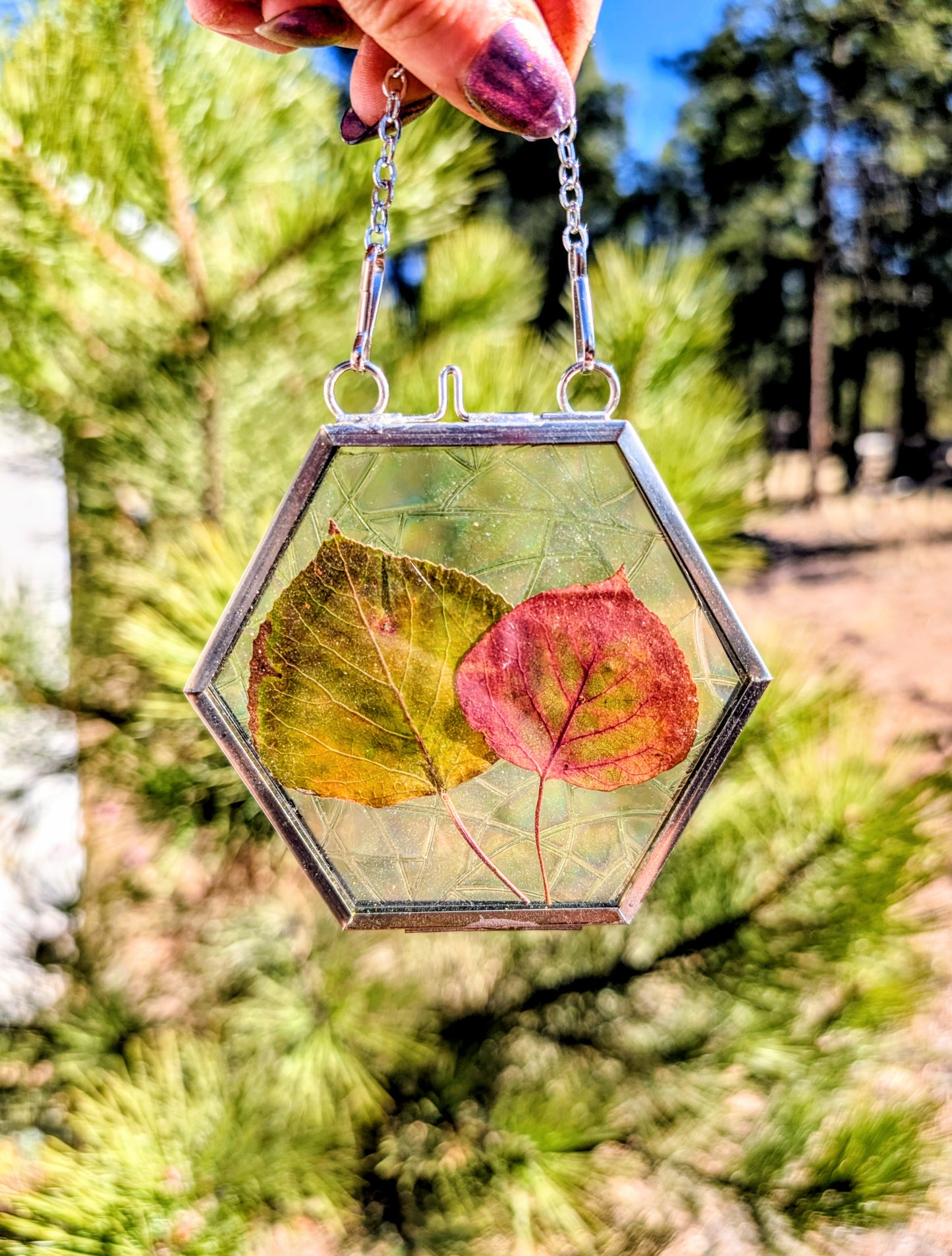 Aspen Leaf Ornaments