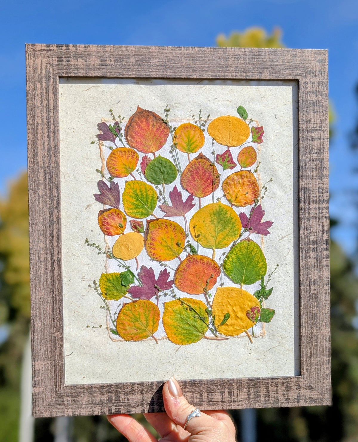 Colorado Wildflower Window Aspen Statement Piece