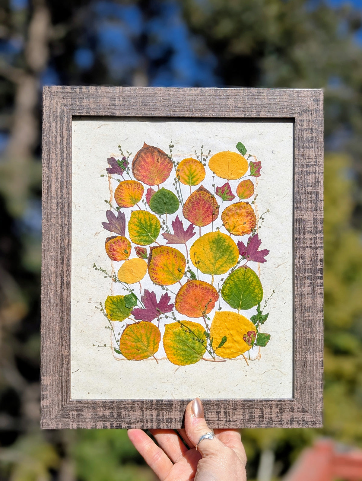 Colorado Wildflower Window Aspen Statement Piece