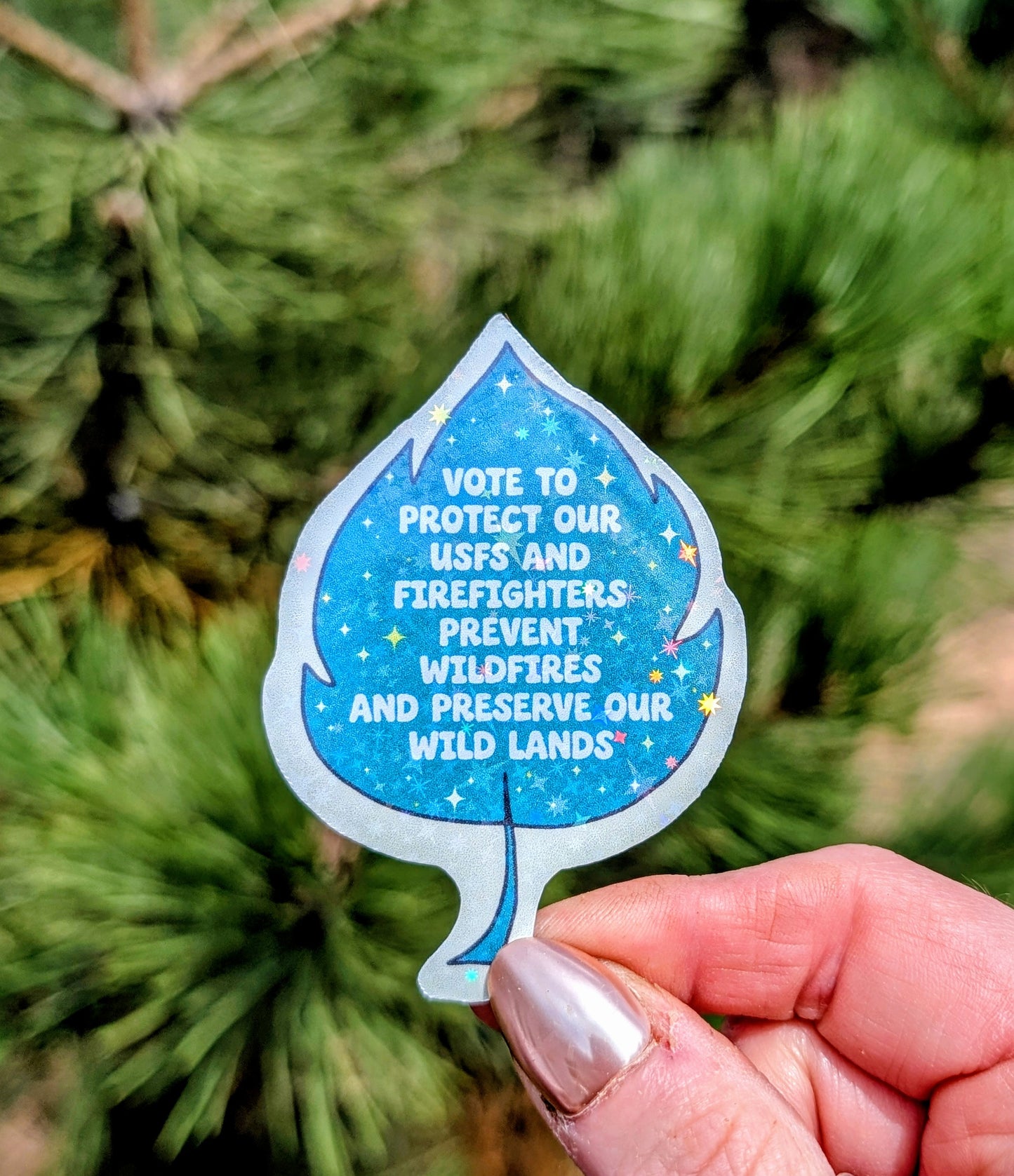 Support Wildland Firefighters, Climate Change, Protect Our Public Lands Glitter Vinyl Sticker