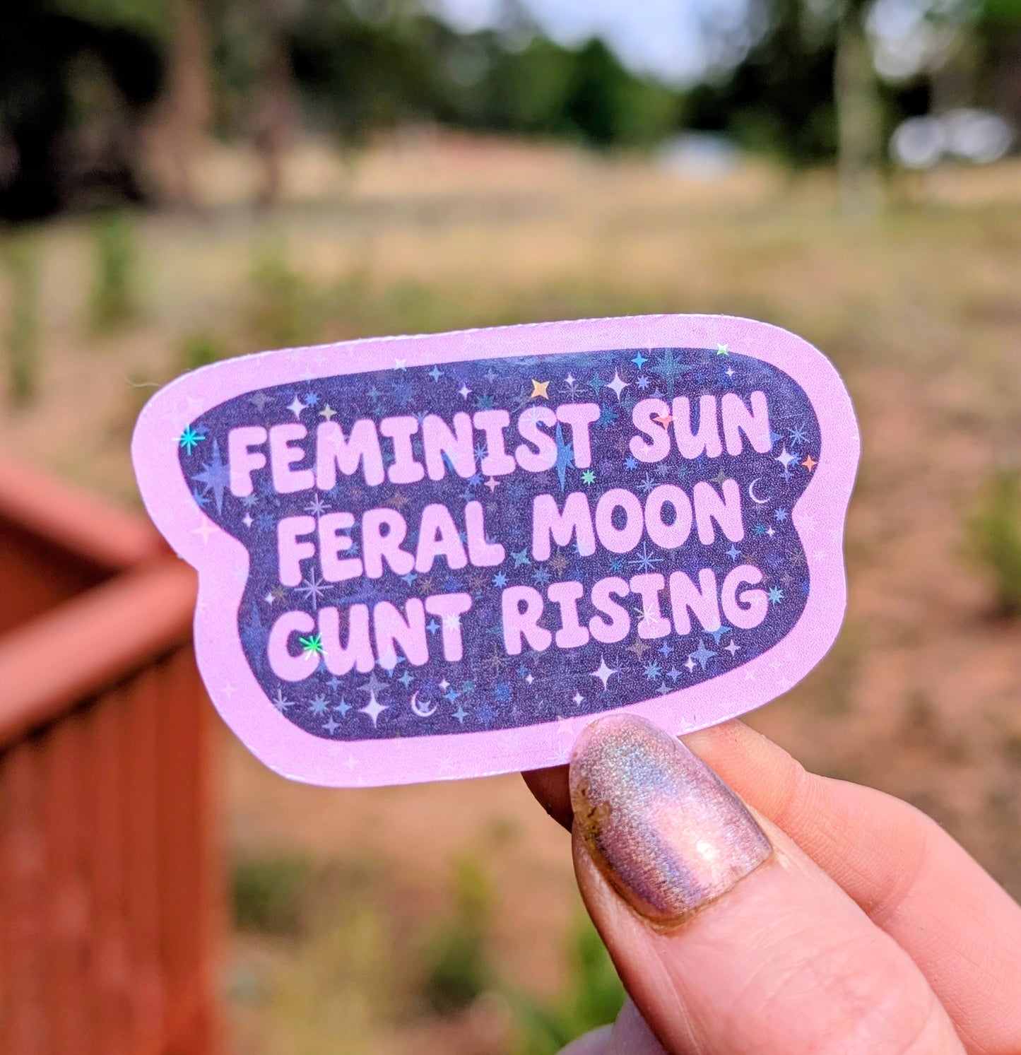 Feral Feminist Inspirational Feminist Vinyl Sticker