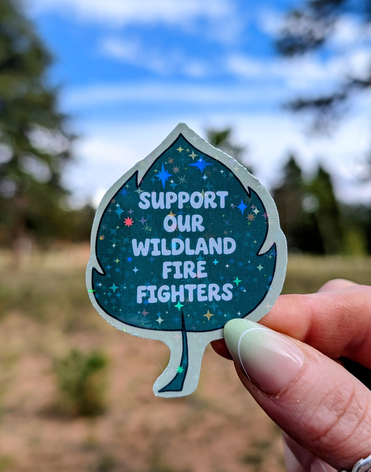 Support Wildland Firefighters, Climate Change, Protect Our Public Lands Glitter Vinyl Sticker