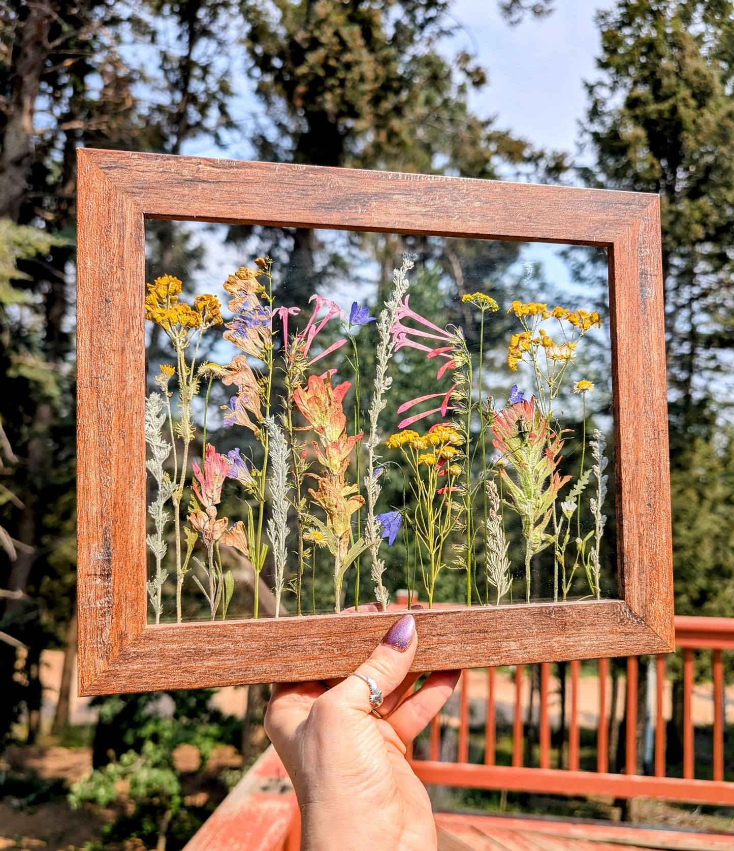 Custom Colorado Wildflower Window Framed Floral Artwork