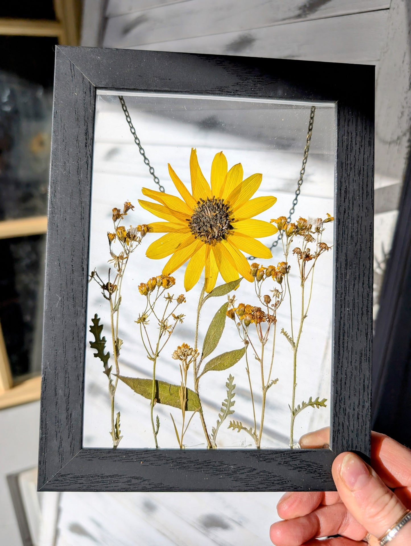 Sunflower Mix Wildflower Window