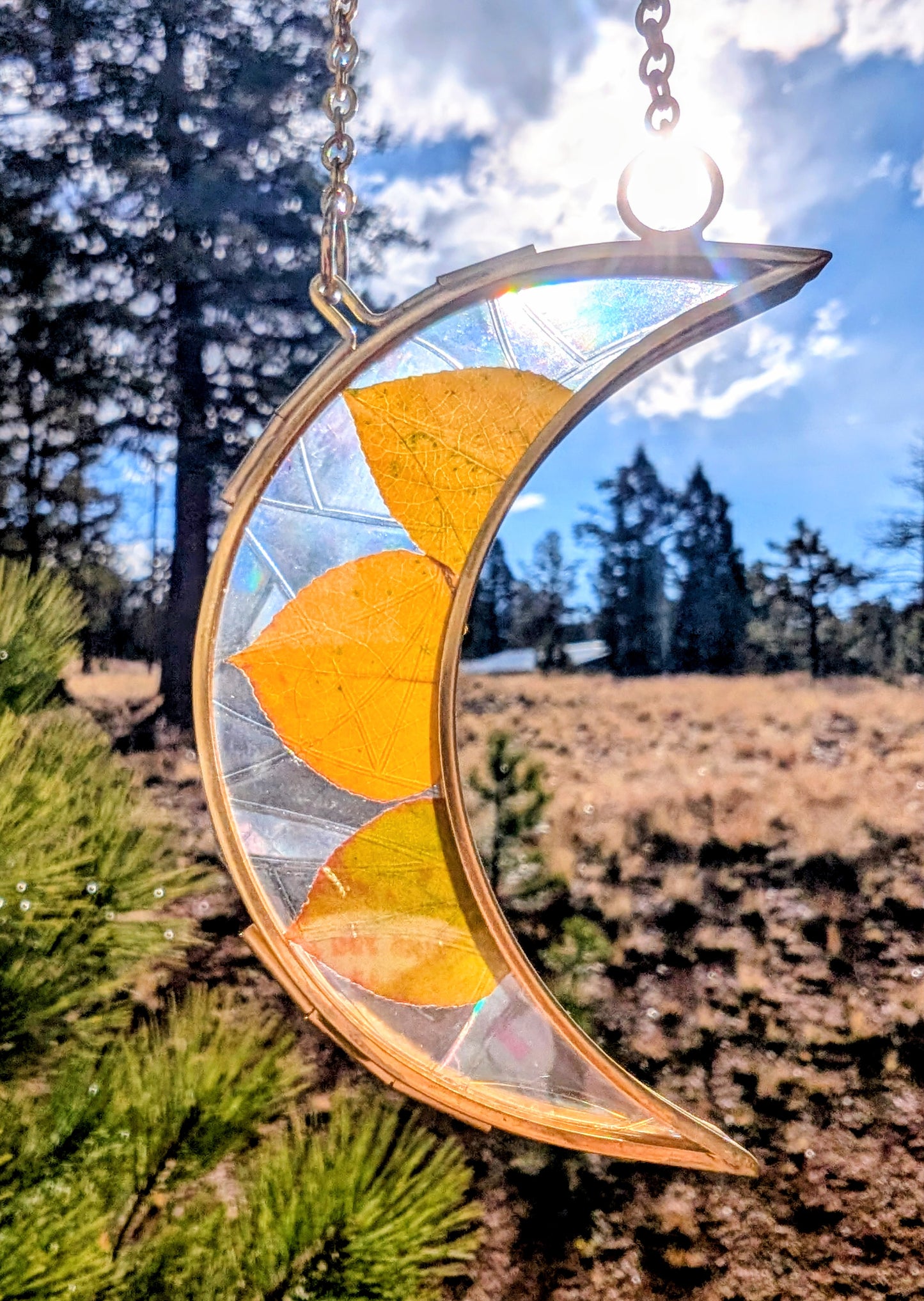 Aspen Leaf Ornaments