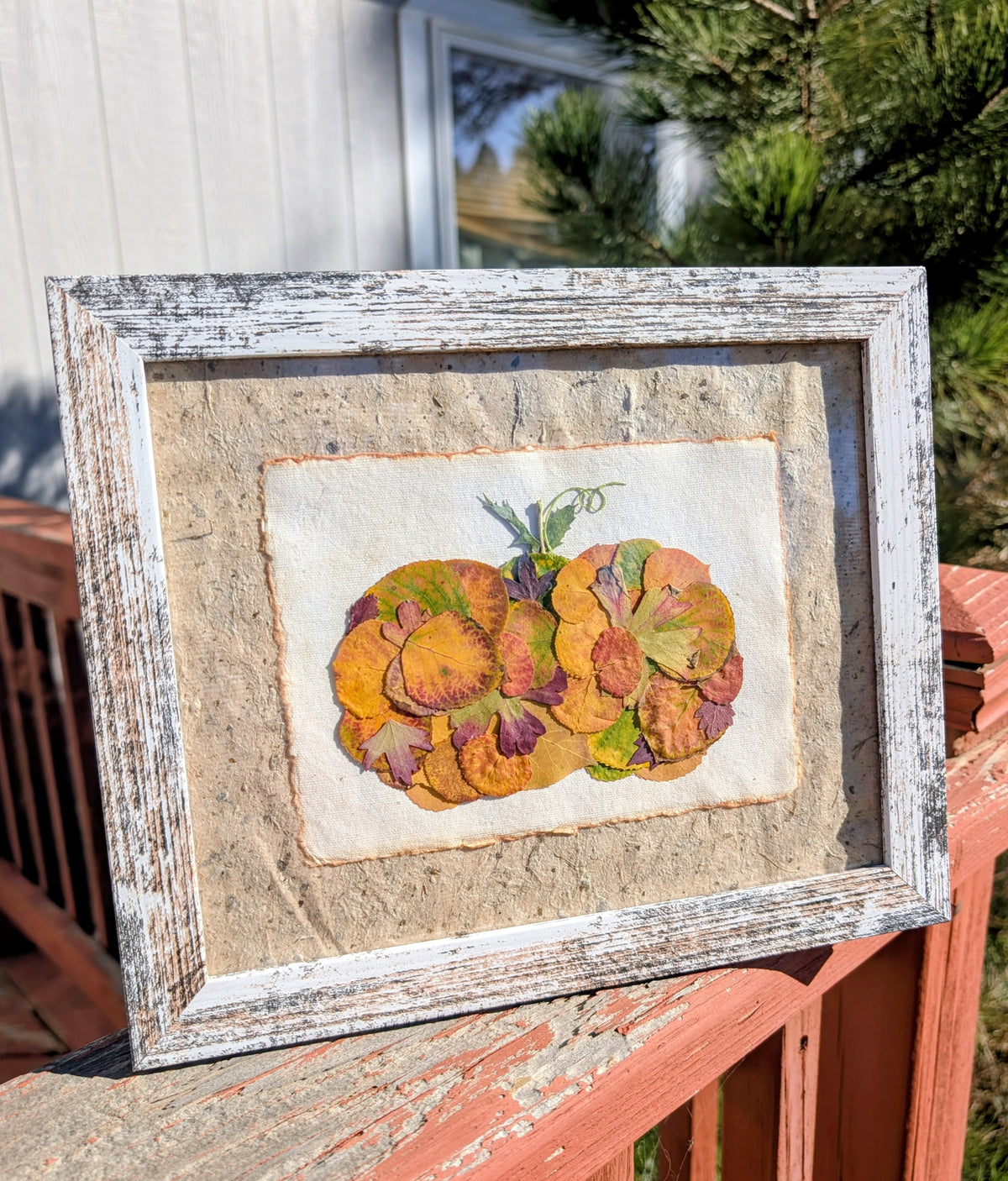 Colorado Wildflower Window Autumn Pumpkin Aspen Statement Piece