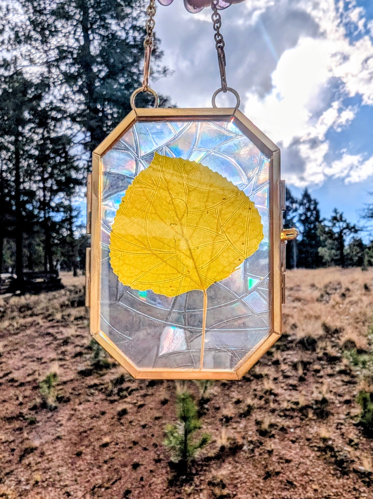Aspen Leaf Ornaments