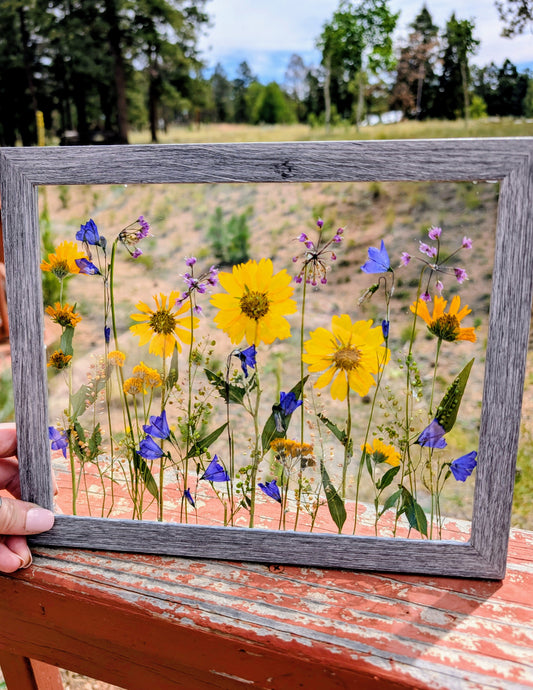 Custom Colorado Wildflower Window Statement Piece