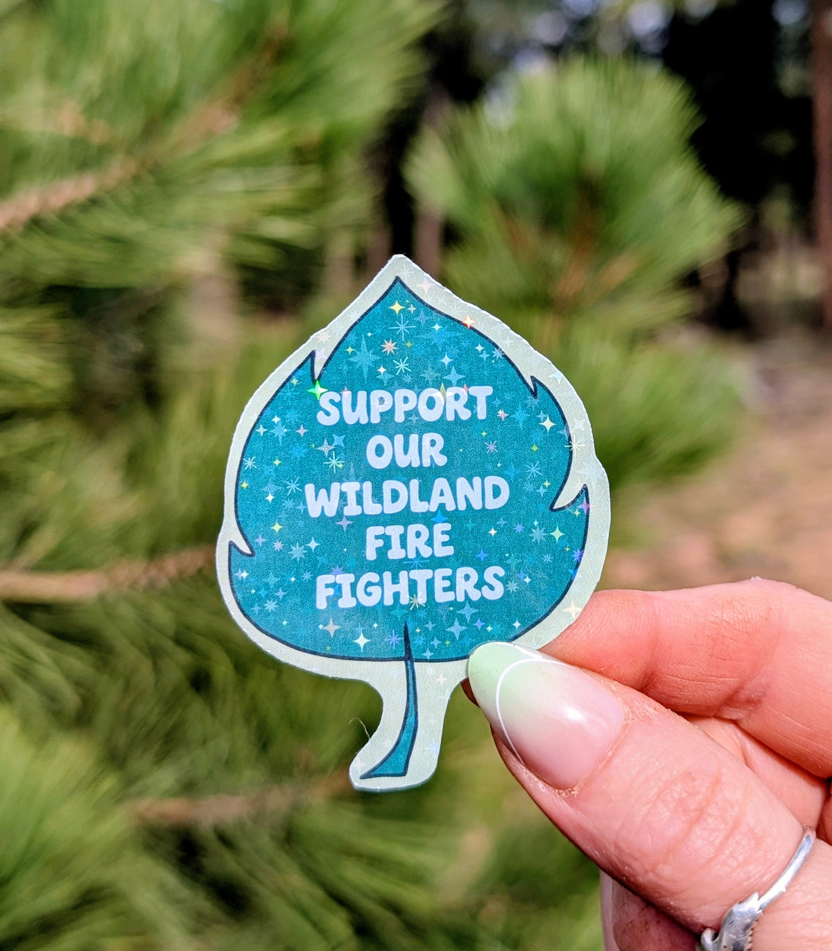 Support Wildland Firefighters, Climate Change, Protect Our Public Lands Glitter Vinyl Sticker