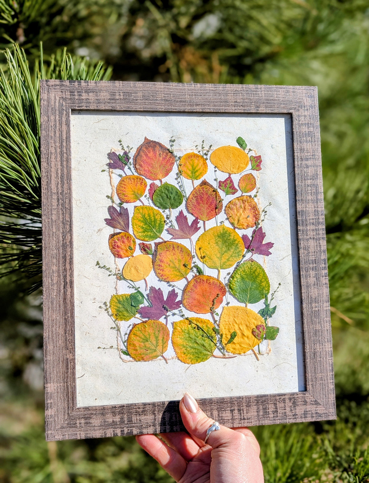 Colorado Wildflower Window Aspen Statement Piece