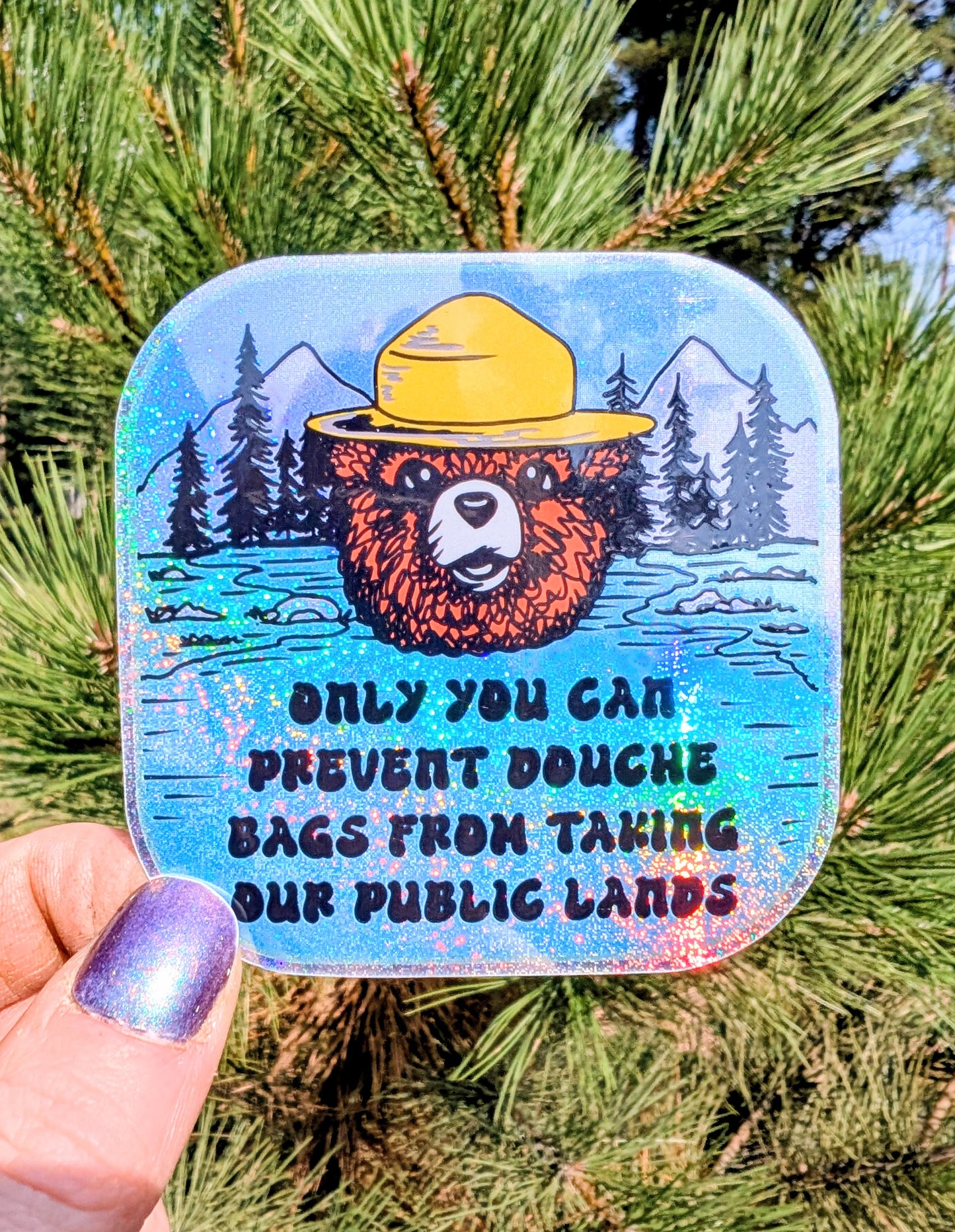 Public Lands Conservation Vinyl Sticker