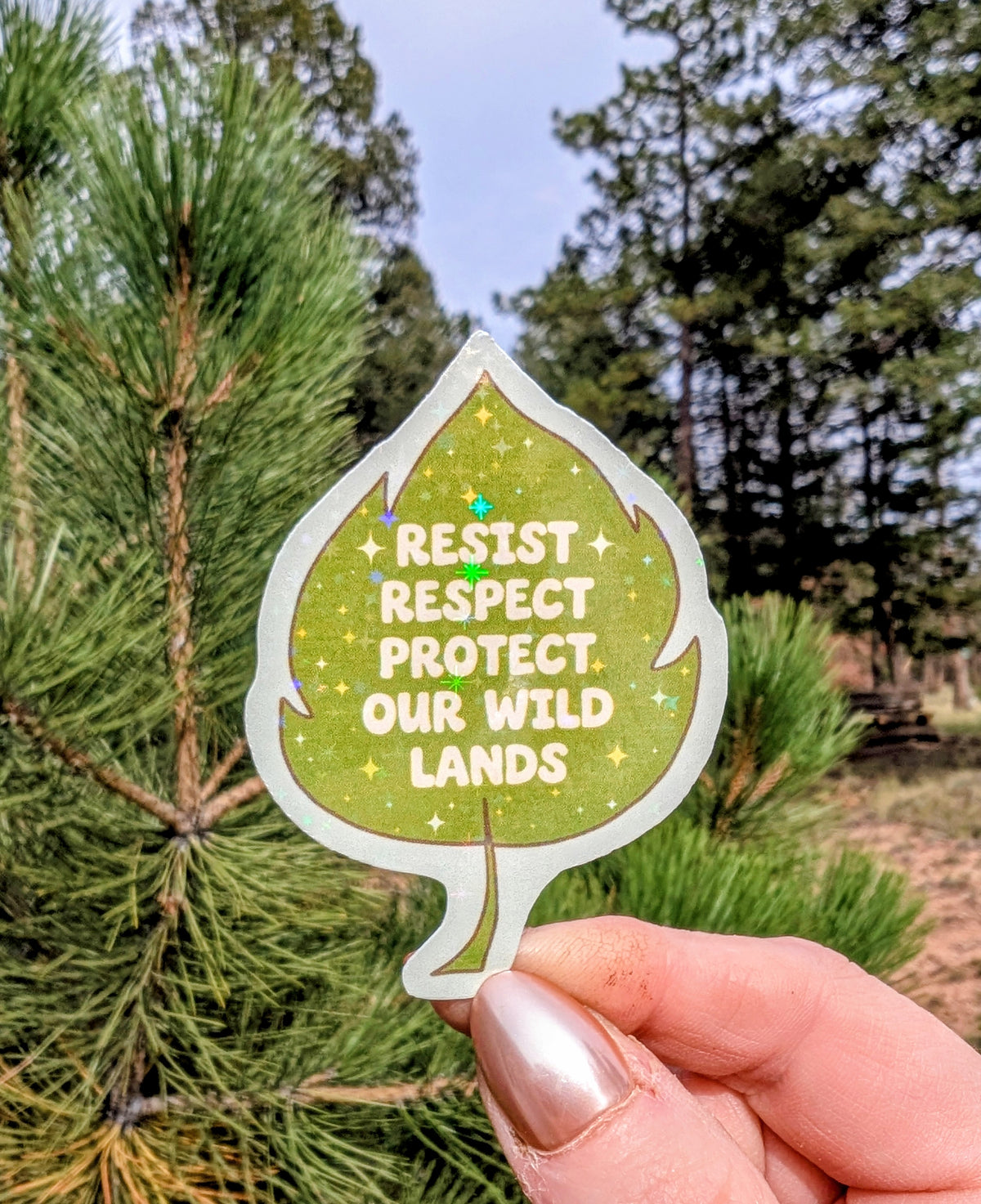 Support Wildland Firefighters, Climate Change, Protect Our Public Lands Glitter Vinyl Sticker