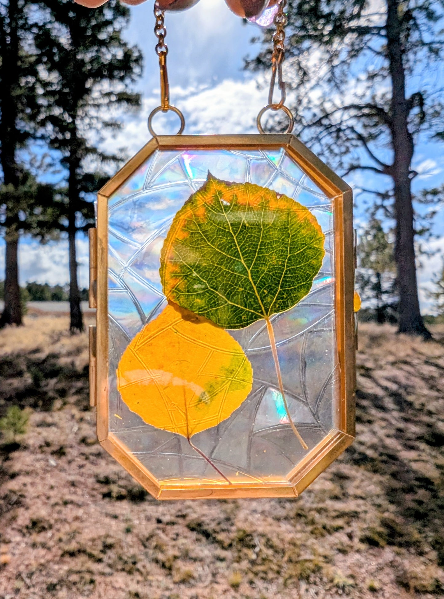 Aspen Leaf Ornaments
