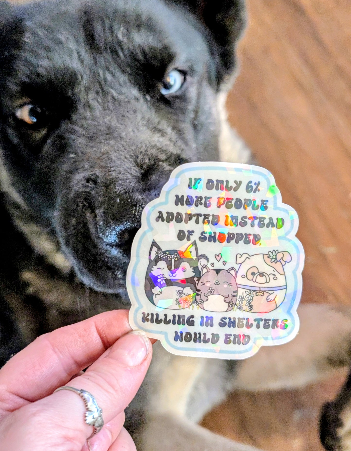 Adopt Don't Shop Feminist Vinyl Sticker